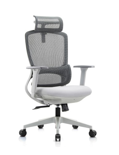 Кресло руководителя Riva Chair Skill RCH 6245A-HS Серый