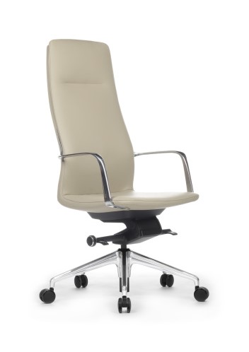 Кресло руководителя RV Design Plaza FK004-A13 Светло-серый