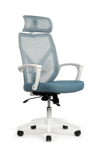 Кресло руководителя Riva Chair Oliver RCH W-203AC Белый пластик/Синий